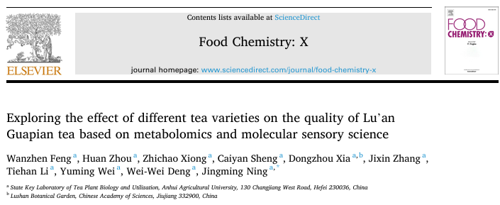 基于代谢组学和分子感官科学，探讨不同茶叶品种对六安瓜片茶品质的影响