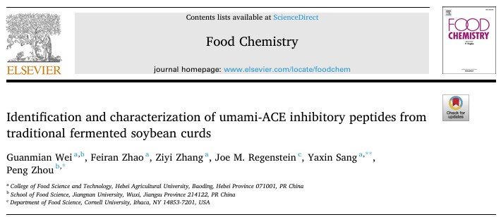 传统发酵豆腐乳中鲜味ACE抑制肽的鉴定与表征