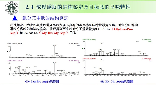 冯涛教授在“2023全国预制菜风味与营养健康技术应用研讨会”上的演讲