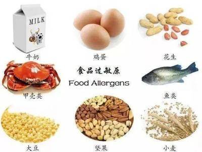  致敏物质汇总
