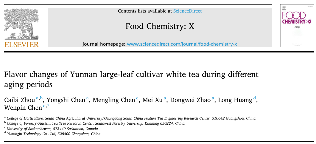 云南大叶种白茶在不同陈化时期的风味变化