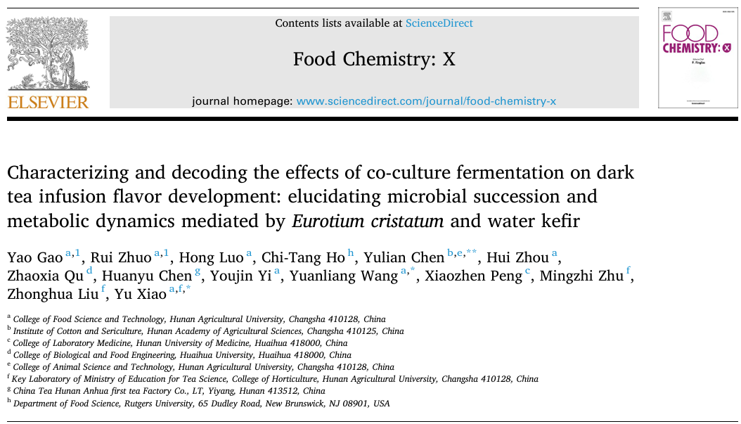 探究共培养发酵对黑茶茶汤风味形成的影响