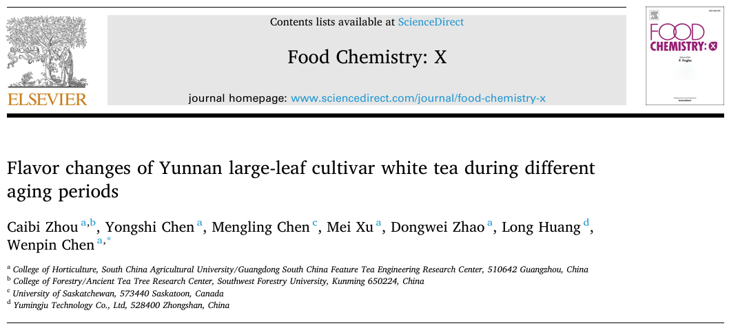 云南大叶种白茶在不同陈化时期风味的变化