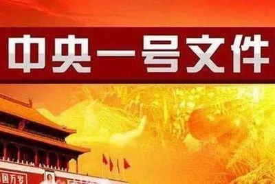  2026年中央一号文件发布《中共中央 国务院关于锚定农业农村现代化 扎实推进乡村全面振兴的意见》