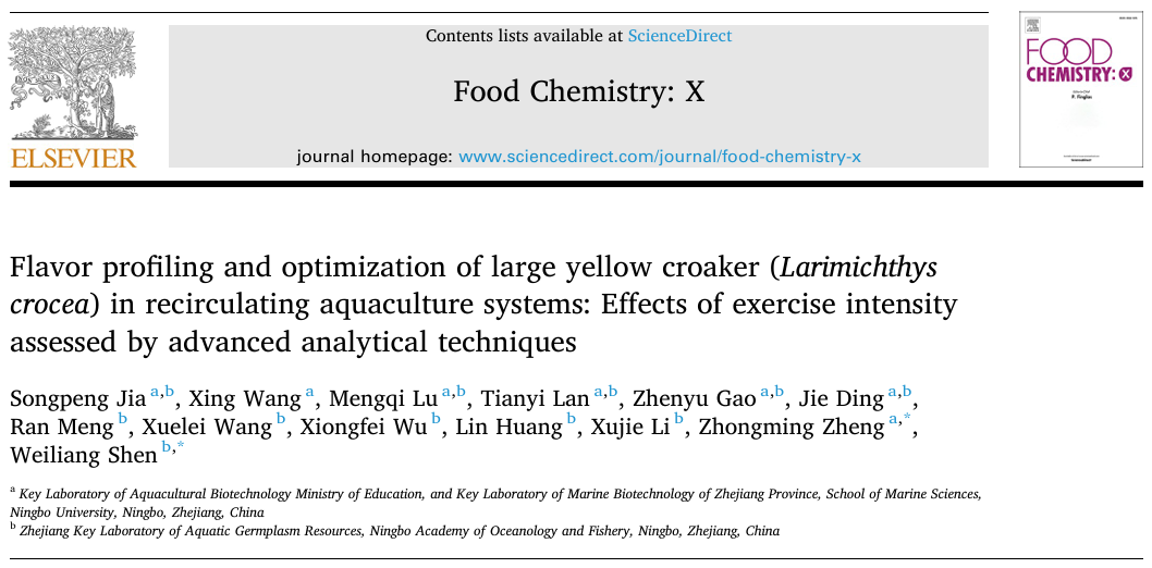 循环式水产养殖系统中大黄鱼的风味特征分析与优化：通过先进分析技术评估的运动强度对结果的影响
